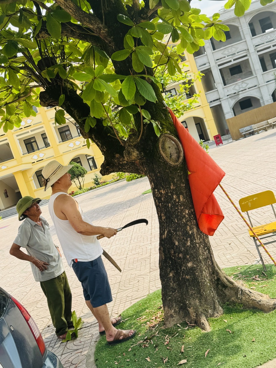 CHẶT NHÁNH CÂY