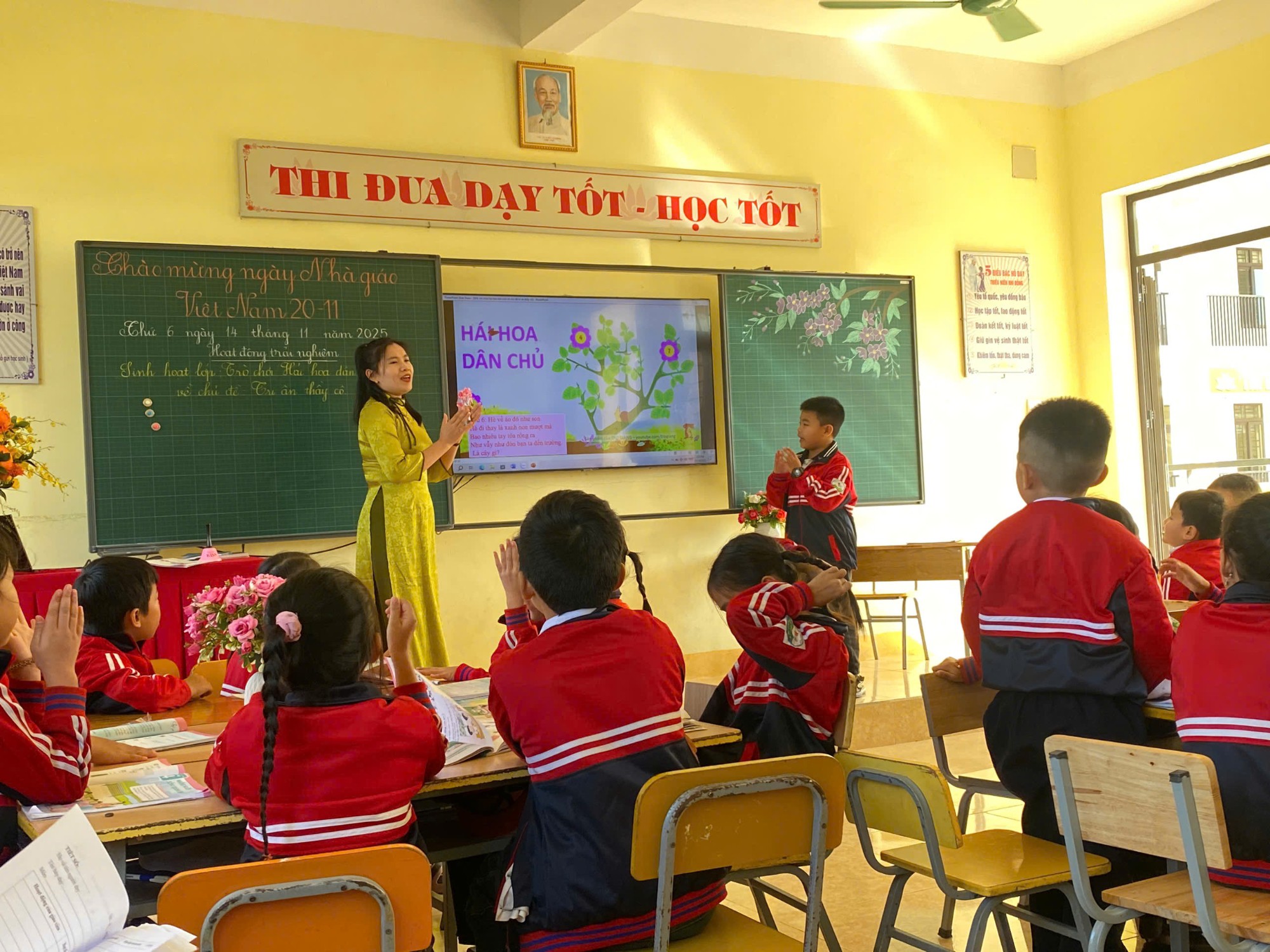 A 7 hái hoa