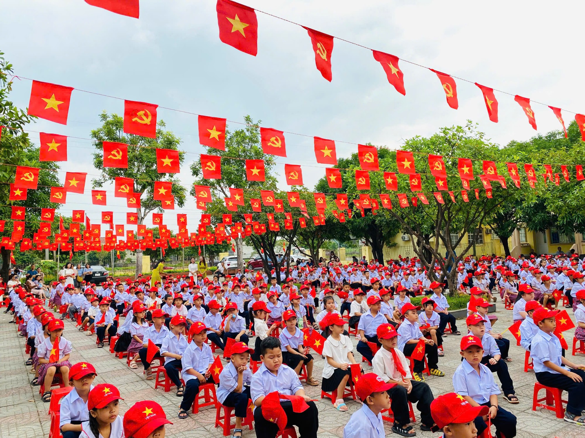 Hs Phân hiệu 1